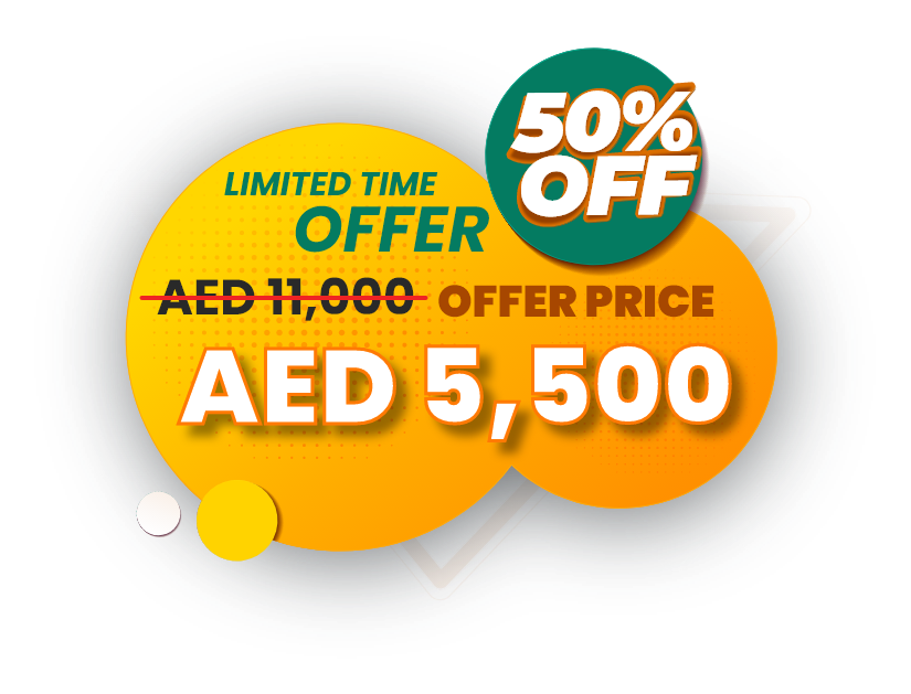 Web development services UAE for businesses