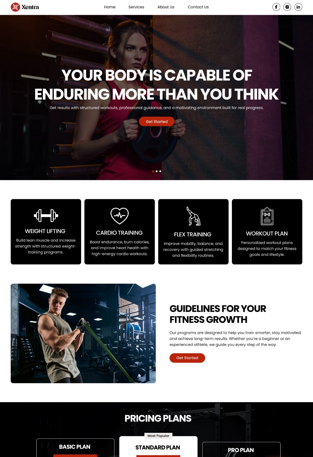 Shopify development Pakistan