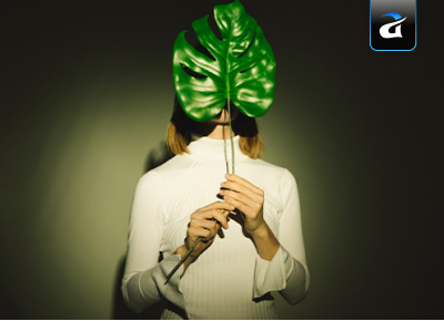 5 Habits for Success Using Growth Mindset in AI, WordPress, and Custom Software Development