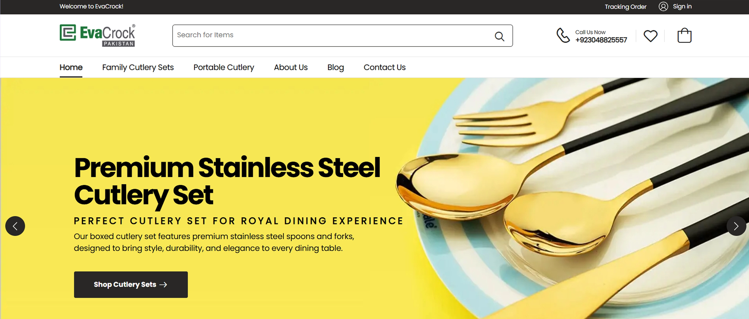 Ecommerce website development for retail business platform